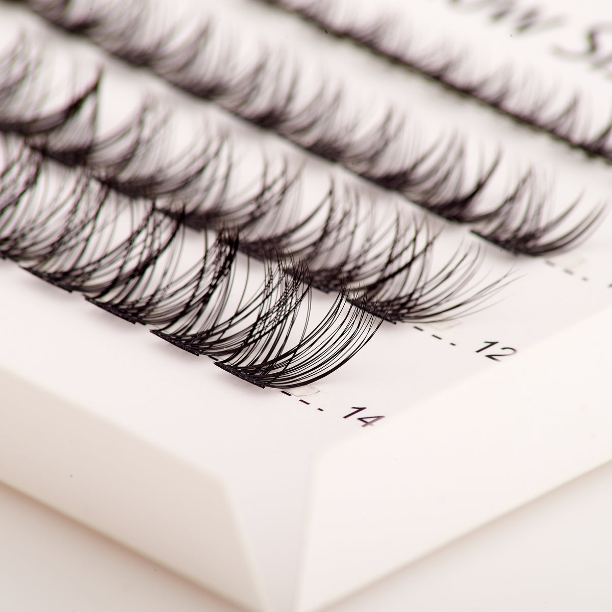 Eyelash Cluster Bundle Set