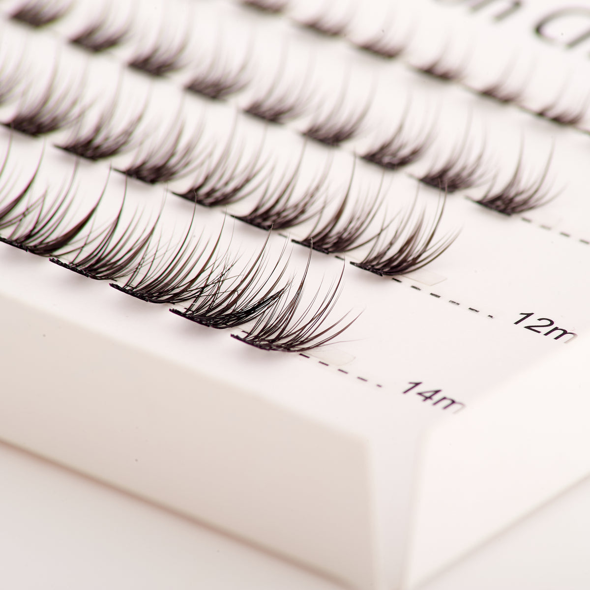 Eyelash Cluster Bundle Set