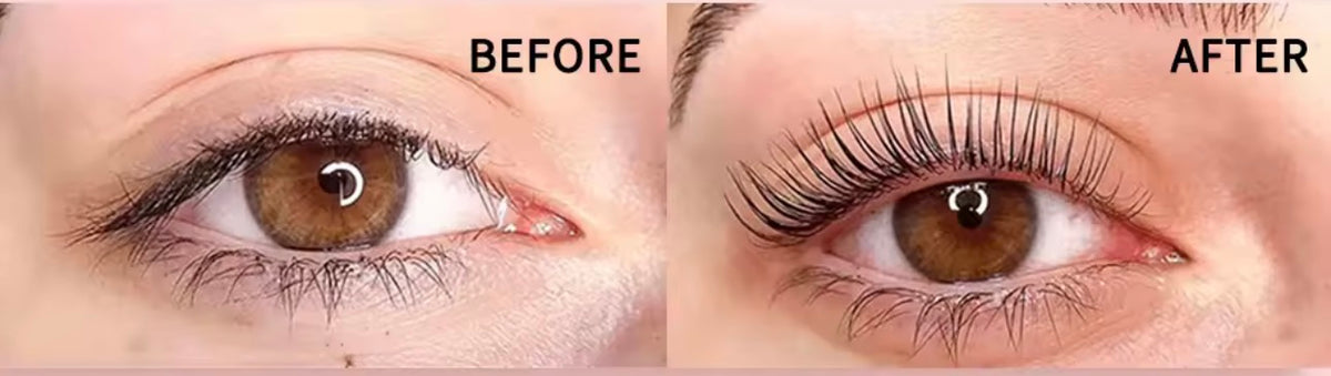 Dottie Lashes Lash & Brow Lamination Kit | DIY Lash Lift & Brow Lamination | 5 Applications | Lasts 6–8 Weeks | Cruelty Free