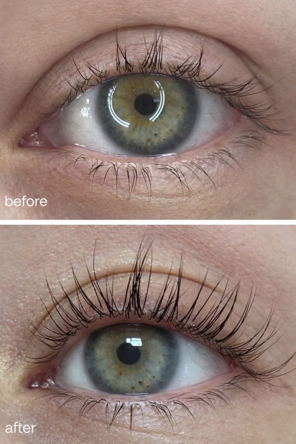 Dottie Lashes Multi-Peptide Lash & Brow Serum | Vegan & Cruelty Free | 3ml